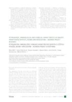Petrographic, mineralogical and chemical characteristics of bauxite from Posušje deposits, Bosnia and Herzegovina – AGEMERA project research