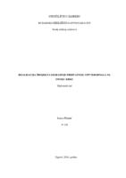 Realizacija projekta izgradnje prihvatnog UPP terminala na otoku Krku