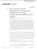 prikaz prve stranice dokumenta Post-collisional mantle delamination in the Dinarides implied from staircases of Oligo-Miocene uplifted marine terraces