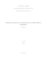prikaz prve stranice dokumenta Strategija istraživanja i eksploatacije ugljikovodika u Dinaridima