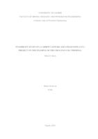 prikaz prve stranice dokumenta Feasibility study of a carbon capture and utilization (CCU) project on the example of the Croatian LNG terminal