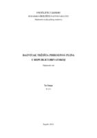 prikaz prve stranice dokumenta Razvitak tržišta prirodnog plina u Republici Hrvatskoj